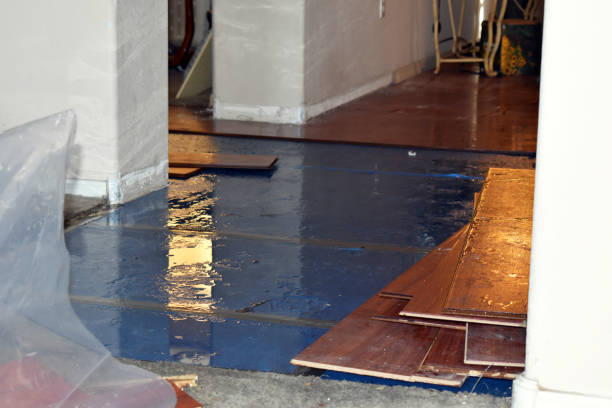 Professional Water Damage Restoration technician working in Fults, IL